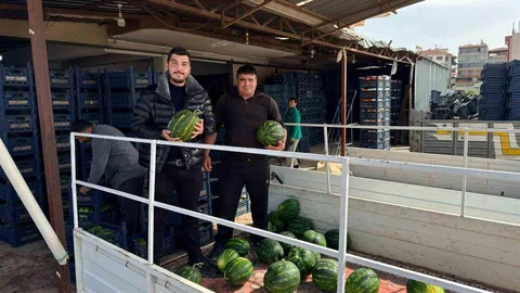 Antalya'da İlk Karpuz Hasadı Yapıldı