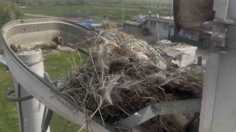 Bursa'da Sokak Lambaları Kuşlara Yuva Oldu