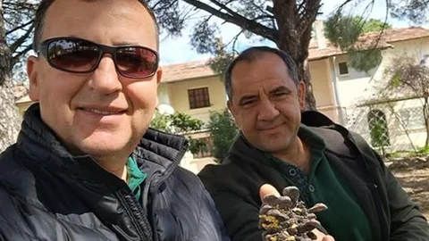 Türkiye Çam Balı Üretiminde Dünya Birincisi