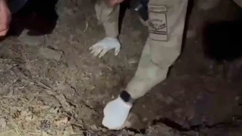 Hatay'da Anne ve Oğul Cinayeti