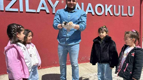 Van'da Anaokulunda Kedi Doğumu