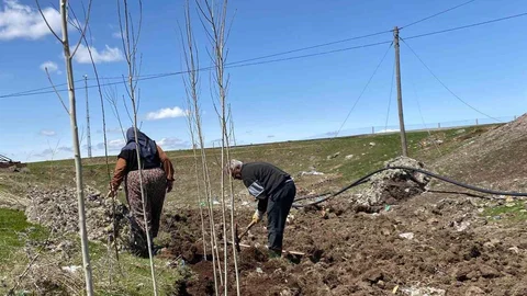 Ağrı'da Fidan Dikimi İle Geleceğe Nefes Olunuyor