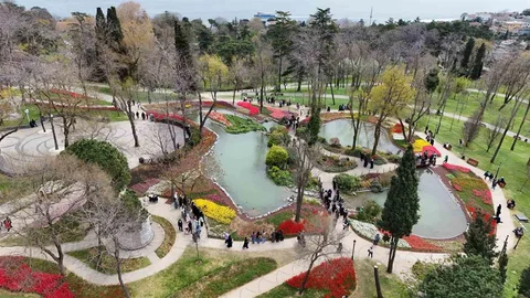 İstanbul'da Lale Zamanı Geldi