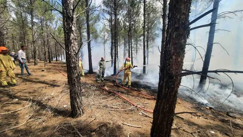 Mersin'de Orman Yangını Tatbikatı