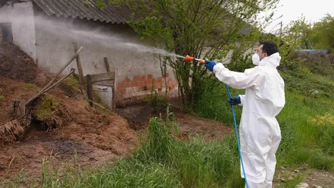 Düzce'de Uçkunla Mücadele Devam Ediyor