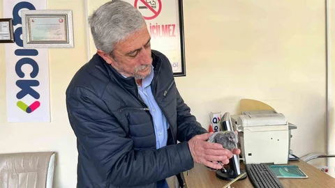 Bünyan'da Düşen Kuş Yuvaya Geri Döndü