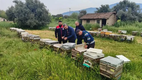 Aydın’da Ana Arı Kovanları Denetlendi