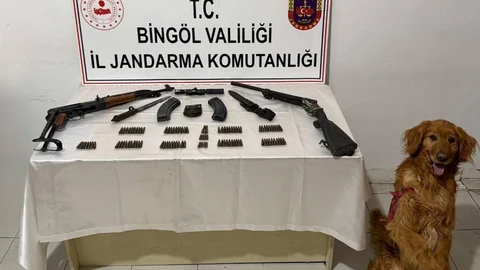 Bingöl'de Silah ve Mühimmat Ele Geçirildi