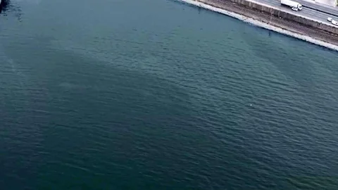 İzmir Körfezi'nde Kirlilik Sorunu Devam Ediyor