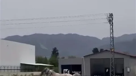 Hatay'da Kaçak At Arabası Panik Yaratıyor