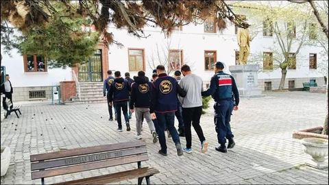 Eskişehir'de Büyükbaş Hayvan Hırsızlığı