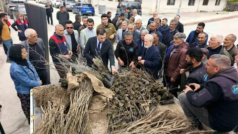 Çemişgezek'te Ücretsiz Fidan Dağıtımı Yapıldı