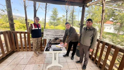 Siirt'te Kaçak Avcılığa Cezai İşlem