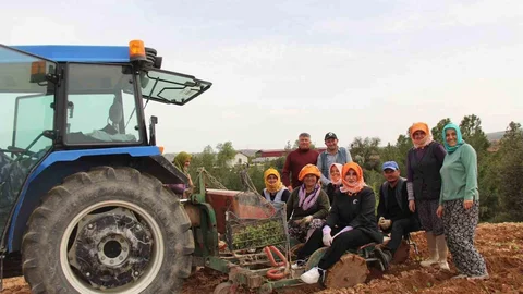 Çal'da Kekik Dikimi Etkinliği