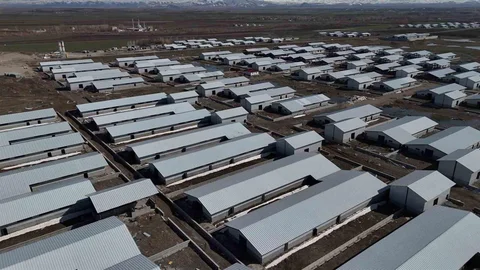 Ağrı'da Yeni Hayvancılık Tesisi İnşaatı