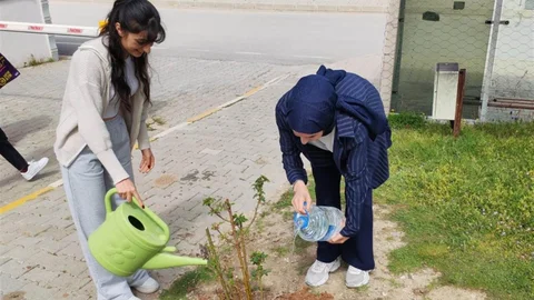 Kütahya'da Gül Fidanı Dikimi Yapıldı