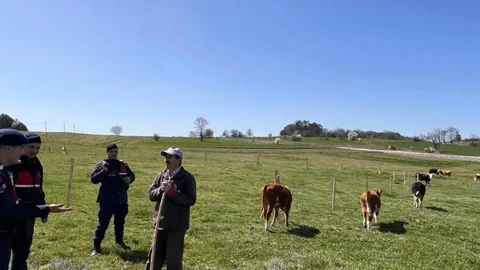 Bilecik'te Hayvan Hırsızlığı Uyarısı