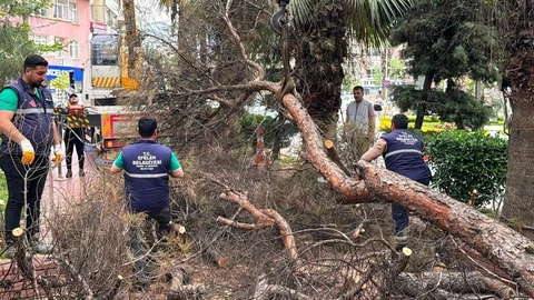 Efeler'de Park Güvenliği Artıyor