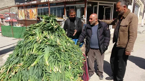 Van'da Çiriş Otu Satışa Sunuldu