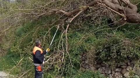 Osmaniye'de Fırtına Etkili Oldu