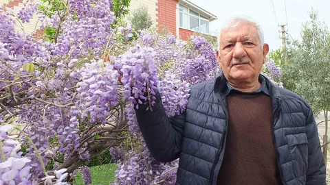 Balıkesir'de Bahar Güzelliği Başladı