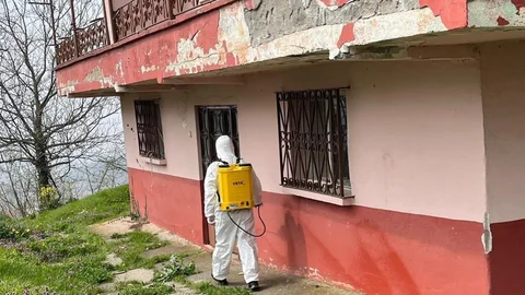 Düzce'de Kahverengi Kokarca Mücadelesi