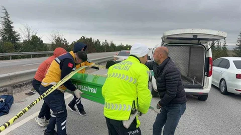 Afyonkarahisar'da Trafik Kazası
