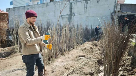 Ahlat’ta Meyve Fidanlarına Yoğun İlgi