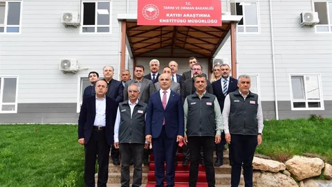 Malatya'da Kayısı Enstitüsü Projesi