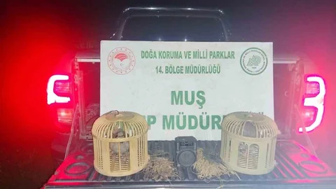 Muş'ta Kaçak Keklik Avı Yapıldı
