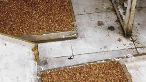 Kötü Koku Üzerine Yapılan İnceleme Şaşırttı