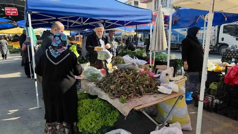 Düzce'de Kaldirik Otu Tezgahlarda