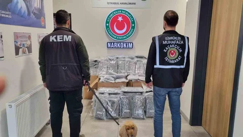Uyuşturucu Operasyonlarında Büyük Başarı