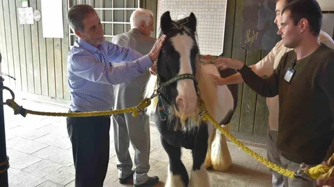 Pendik'te Atlı Terapi Uygulaması Başladı