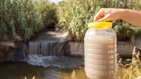 Gediz Havzası'nda Kirlilik Sorunu Büyüyor
