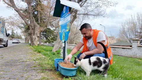 Elazığ'da Sokak Hayvanlarına Destek Devam Ediyor