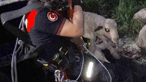 İzmir'de Kuyuya Düşen Kuzuya Kurtarma Operasyonu