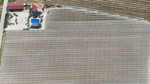 Kadın Girişimciden Tarımda Yenilikçi Çözüm Manisa'da