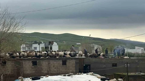 Siirt'te Sel Felaketi Yaşandı