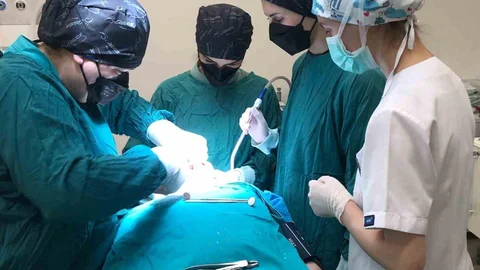 Ordu'da Özel Bireylere Diş Tedavisi