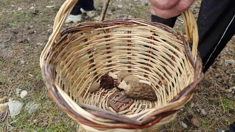 Beyşehir'de Doğa Yürüyüşü Etkinliği