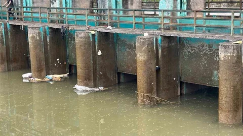 Adana'da Kaybolan Çocuğun Cansız Bedeni Bulundu