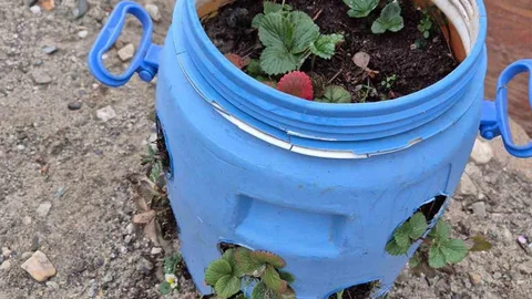 Buldan'da Tarımda Atık Kullanımı