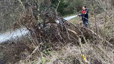 Kastamonu'da Orman Yangını Kontrol Altına Alındı
