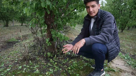 Hatay'da Dolu Yağışı Tarım Arazilerini Vurdu