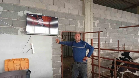 Adana'da Süt Verimi Artış Yöntemi