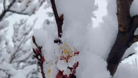 Nisan Ayında Kayseri'de Kar Yağdı