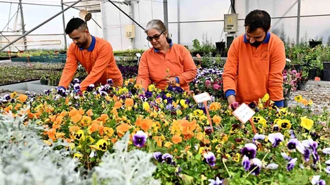 Antalya'da Çiçek Desenleri Günleri Hazırlıkları