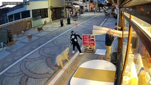 Edirne'de Başköpek Saldırısı