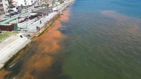 Tekirdağ Sahilinde Renk Değişimi